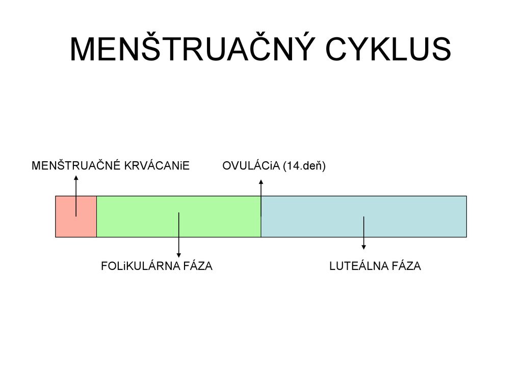 Regul Cia Men Trua N Ho Cyklu Ppt St Hnout